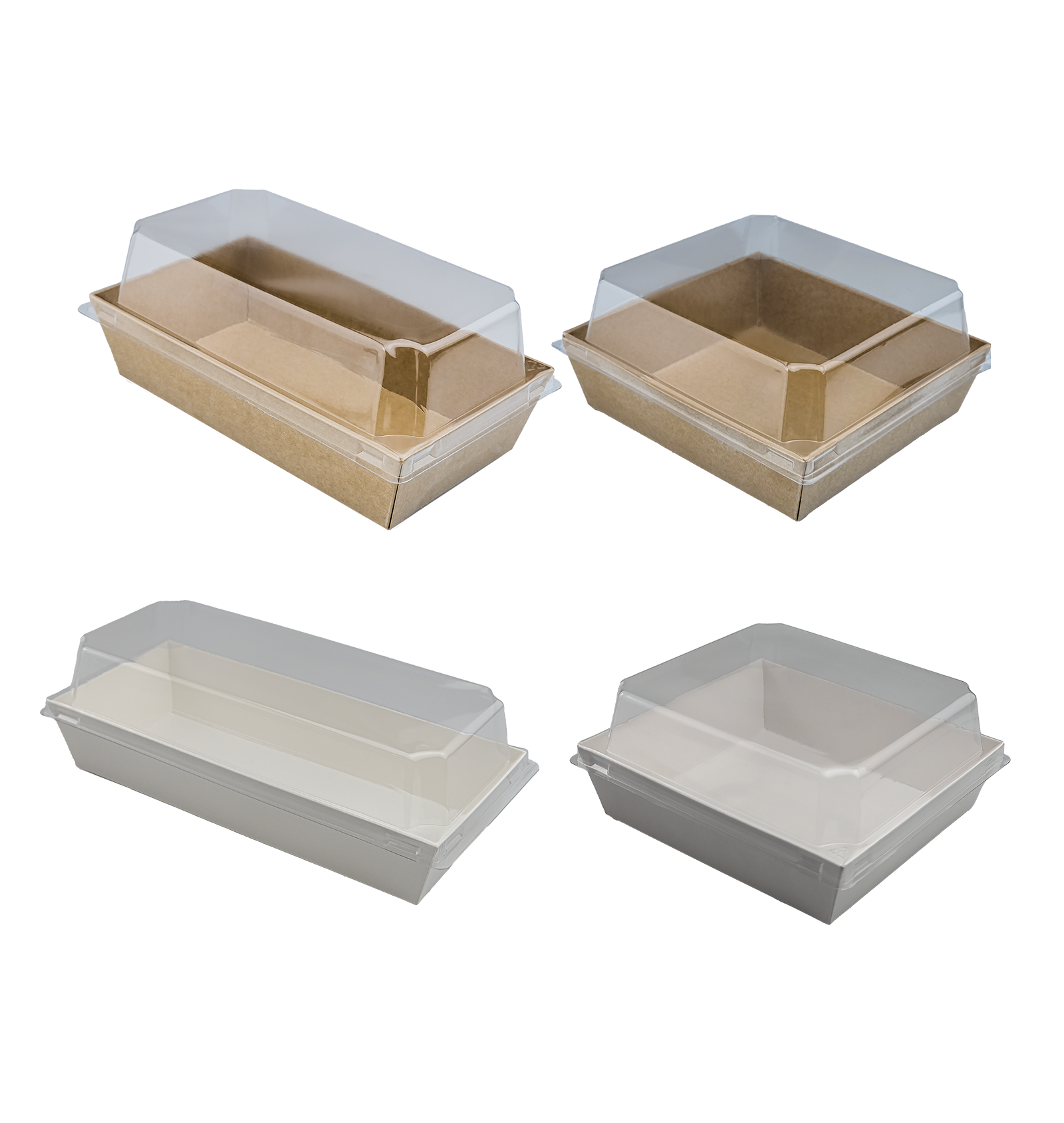 Sandwich Box With Lid – Mega Discovery